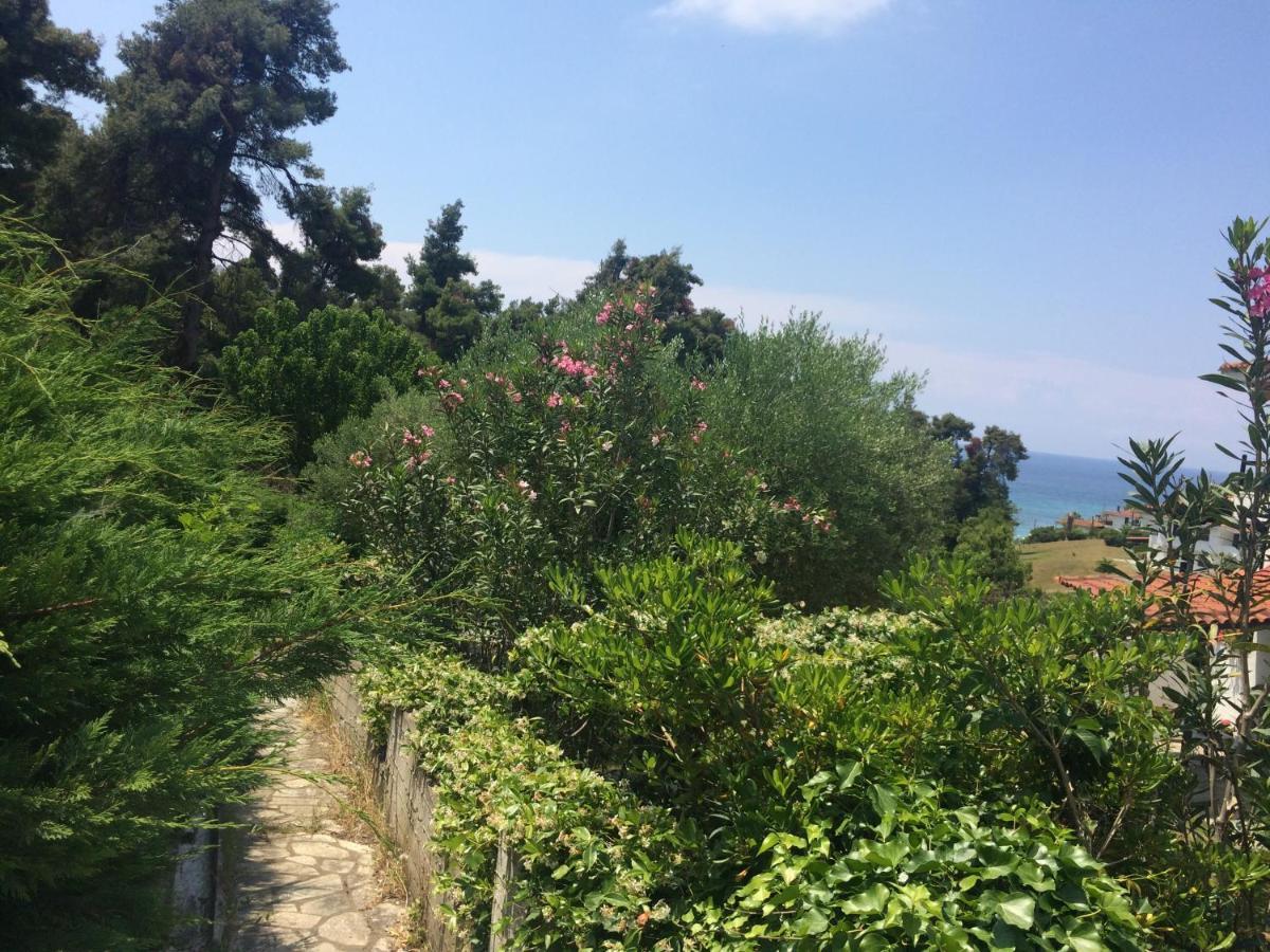 Villa Elani Kassandria Exterior photo